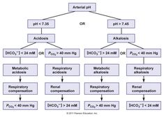 a diagram showing the different types of acids and alginates in each substance