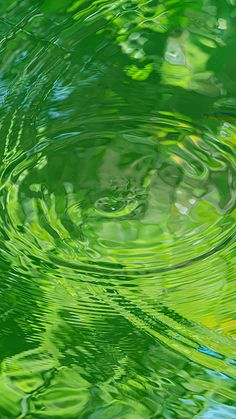 green water ripples on the surface with trees in the background