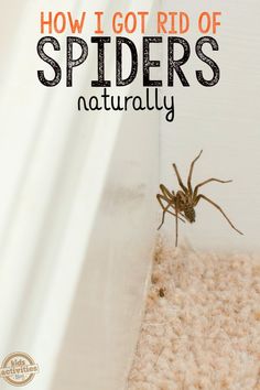 a spider crawling on the side of a wall with text overlay reading how i got rid of spiders naturally