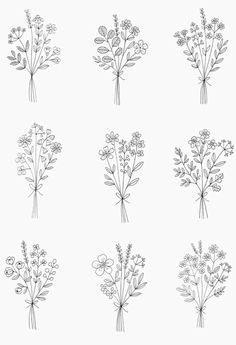 six different types of flowers are shown in black and white on a light gray background