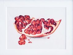 a drawing of a pomegranate is shown in a white frame with red ink