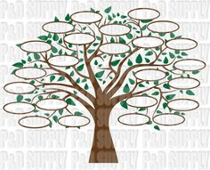 a family tree with oval frames and leaves