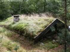 an old building with grass growing on it's roof in the middle of some woods