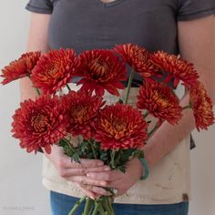 a woman holding a bunch of red flowers in her hands and wearing a gray shirt