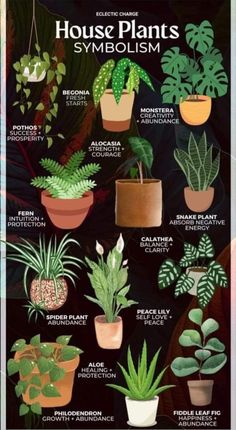 the house plants poster is shown in various colors and sizes