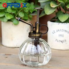 an old fashioned glass oil lamp sitting on a wooden table next to potted plants