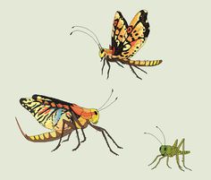 two butterflies and a grasshopper on a light green background, with one flying in the air