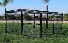 a caged in area with grass and palm trees