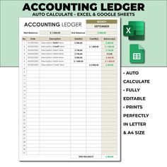 an image of a spreadsheet with the text, accounting ledger