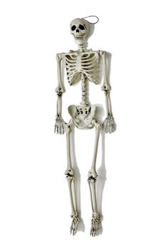 a skeleton is standing with its legs crossed