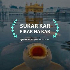 an image with the words sukar kar fikar na kar in front of it