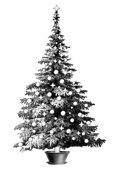 a black and white photo of a christmas tree in a pot with ornaments on it