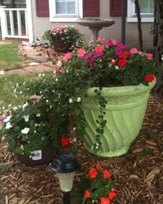 two flower pots with flowers in front of a house