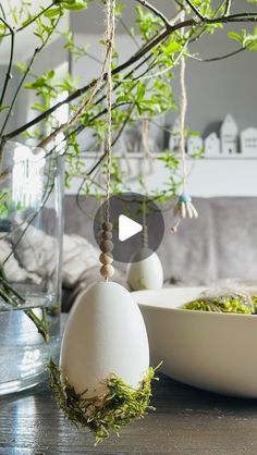 an egg hanging from a tree branch in front of a bowl with moss on it