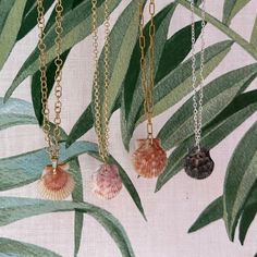 three seashells are hanging from gold chains on a palm tree leaf print background