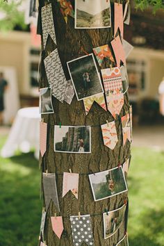 a tree with pictures pinned to it