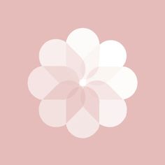 a flower on a pink background with white petals in the shape of a large flower