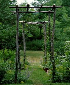 an outdoor garden with lots of trees and plants