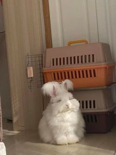 a white rabbit sitting on the floor in front of two plastic containers and a door