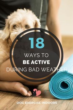 Dog Exercise Indoors - How to Be Active During Bad Weather #dogexercise #dogexerciseideas #activedog #dogactivities #doggames #dogplaying #dogplaygroundideas #doggamesbrain #doggamesindoor Dog Games Indoor, How To Be Active, Ways To Be Active, Indoor Dog Park, Brain Games For Dogs, Dog Playground, Working Dog