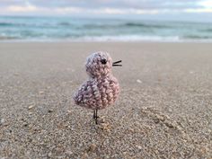 a small crocheted bird sitting on top of a sandy beach