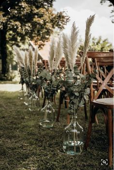 there are many vases with plants in them on the grass near some chairs and tables