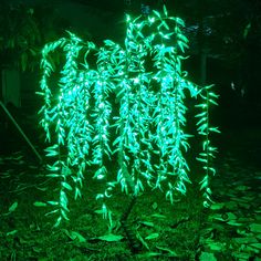 a green plant is lit up in the dark by some lights on it's branches