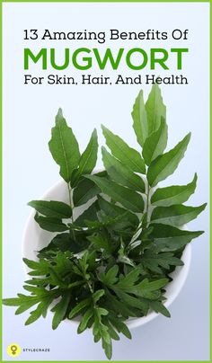 a white bowl filled with green leaves and the words 15 amazing benefits of mugwort for skin, hair, and health