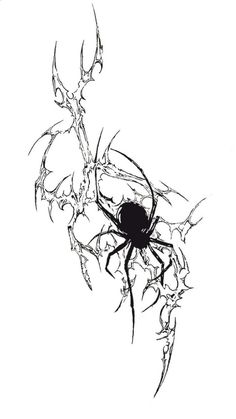 a black and white drawing of a spider