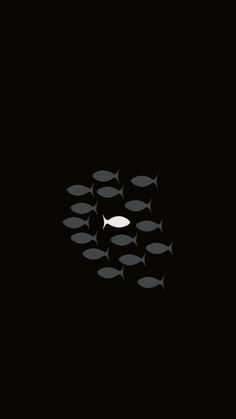 a group of fish swimming in the dark