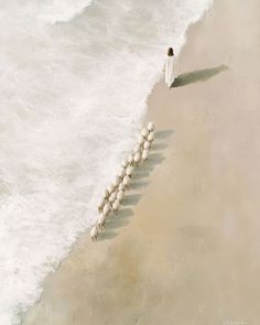 a herd of sheep walking along the beach with a man in white robes behind them