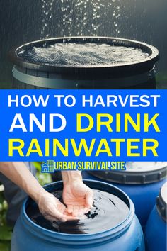 how to harvest and drink rainwater