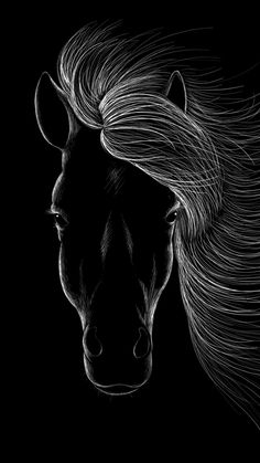 a black and white drawing of a horse's head with long, flowing hair