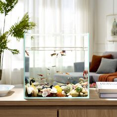 an aquarium filled with small fish sitting on top of a table next to a laptop