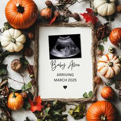 the birth announcement is surrounded by pumpkins and gourds, including an x - ray