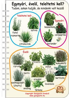 an image of different types of plants in the language of english and arabic, with pictures on each page