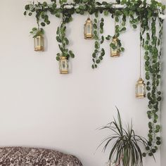 a living room with plants hanging from the wall