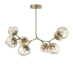 a chandelier with five lights hanging from it's center and four petals on each end