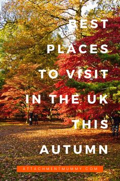 autumn trees with the words best places to visit in the uk this autumn