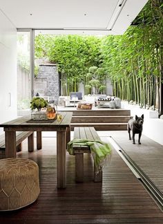 a wooden table sitting under a lush green tree filled forest next to a living room