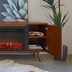 an electric fireplace in the corner of a room next to a potted plant and other items