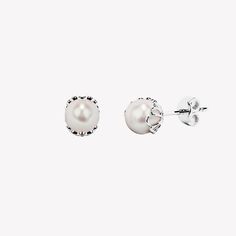 Rizen Jewelry shell encased pearl earring in sterling silver from the Becoming Collection. Scallop Shell, Scallop Shells, Pearl Set, Pearl Stud Earrings, Pearl Studs, Beautiful Earrings, Shells, Stud Earrings, Sterling Silver