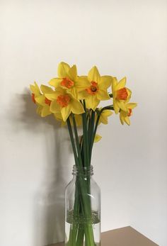 some yellow flowers are in a glass vase