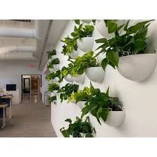 an office with plants growing on the wall