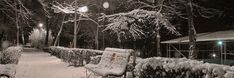 two park benches covered in snow next to bushes and trees at night with street lights