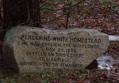 a large rock sitting in the middle of a forest with writing on it that reads, peregine white - homestead he was born on the mayflower