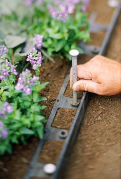 someone holding a wrench in front of some plants with the word like written on it