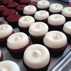 many red velvet cupcakes with white frosting