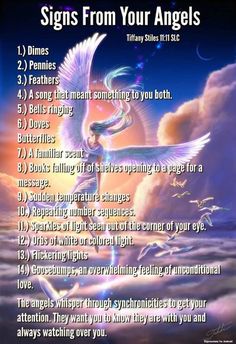 an image of angels on twitter with the words signs from your angels written below it