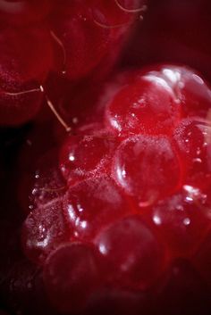 some red grapes with water droplets on them